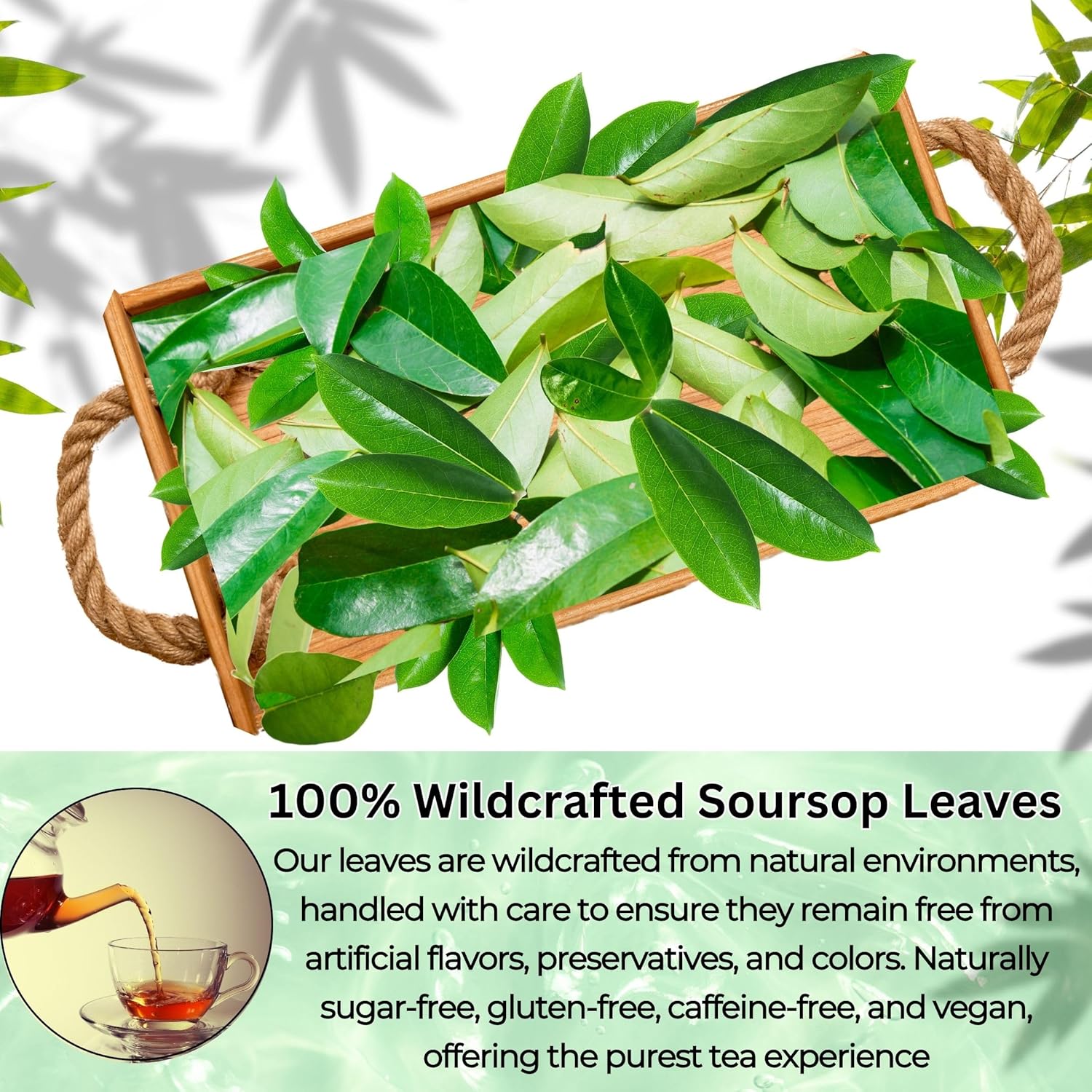 Nutrigins - Premium Soursop Leaves - 150 Leaves - Dried Soursop Tea Leaves - 100% Natural Wild Crafted Graviola Leaves - Hojas de Guanabana Vacuum Sealed For Freshness (150 Count Leaves)